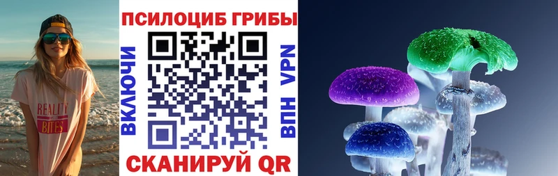кракен tor  Кяхта  Галлюциногенные грибы Magic Shrooms 